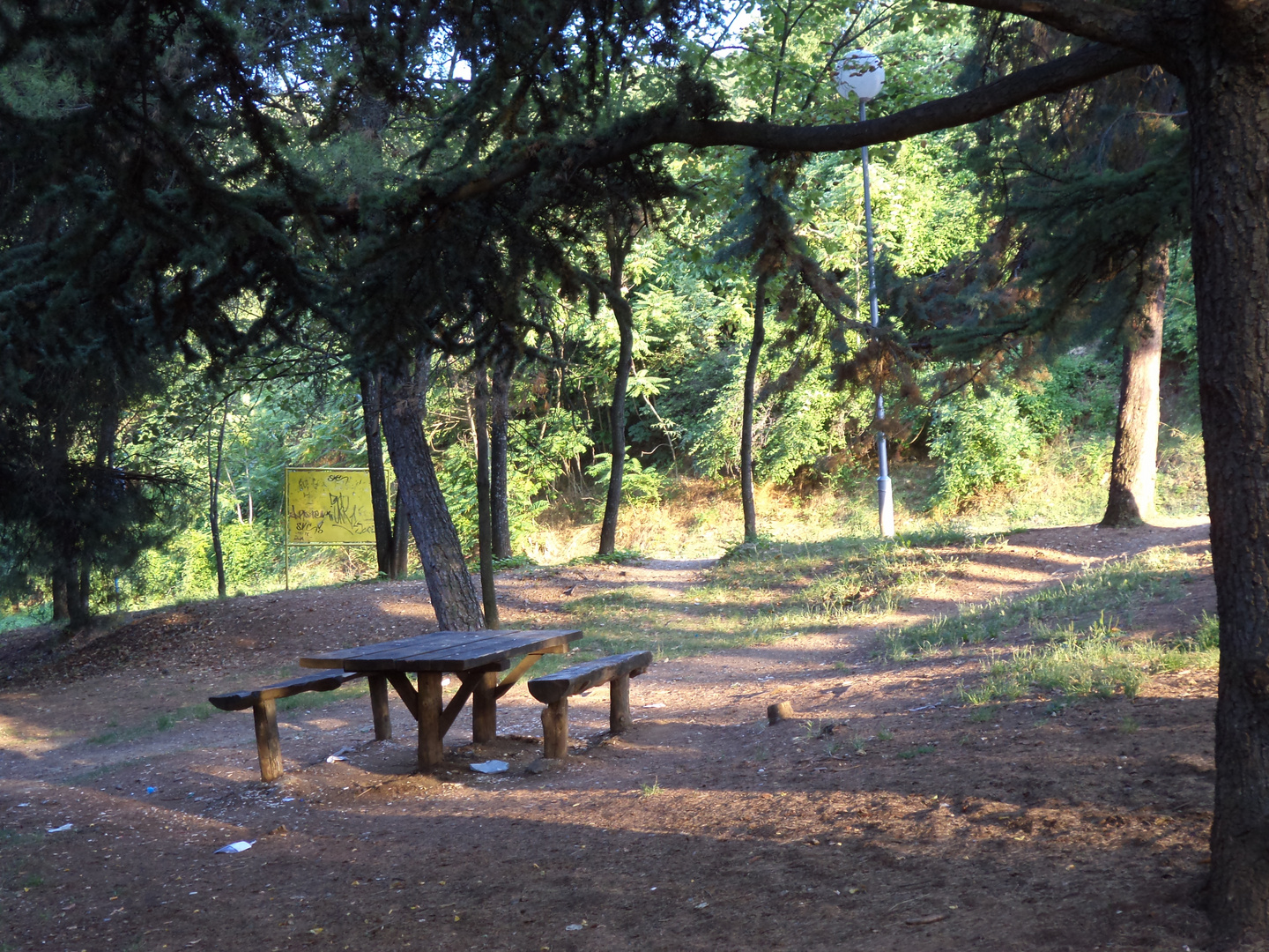 park forest vodno