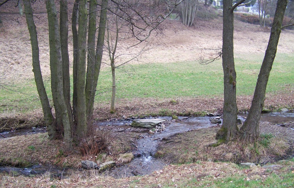 Park gemeinschaften