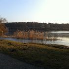 Park Glienicke Winterspaziergang