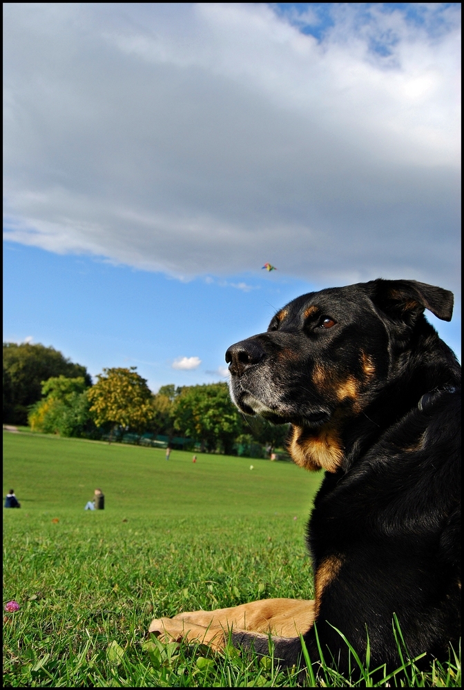 Park Halle Saale