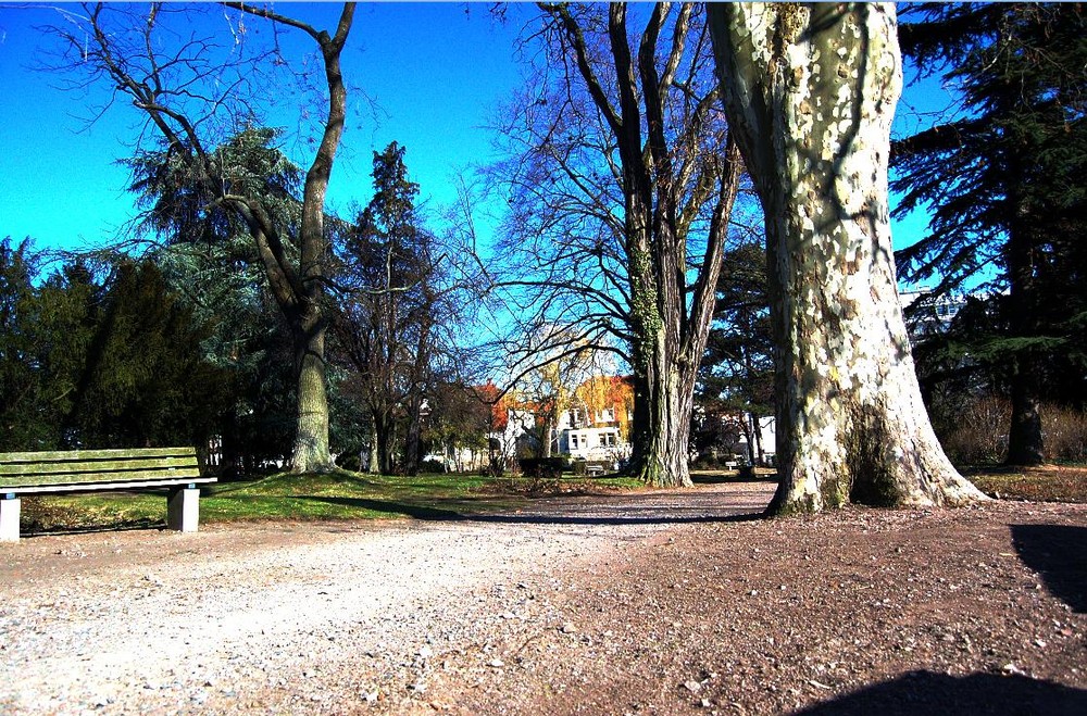 Park (HDR)