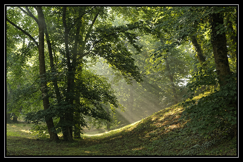 Park Hundisburg