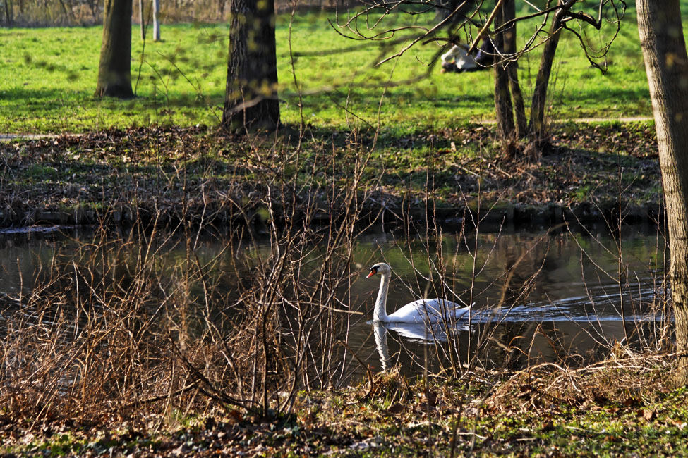 Park Idylle ...