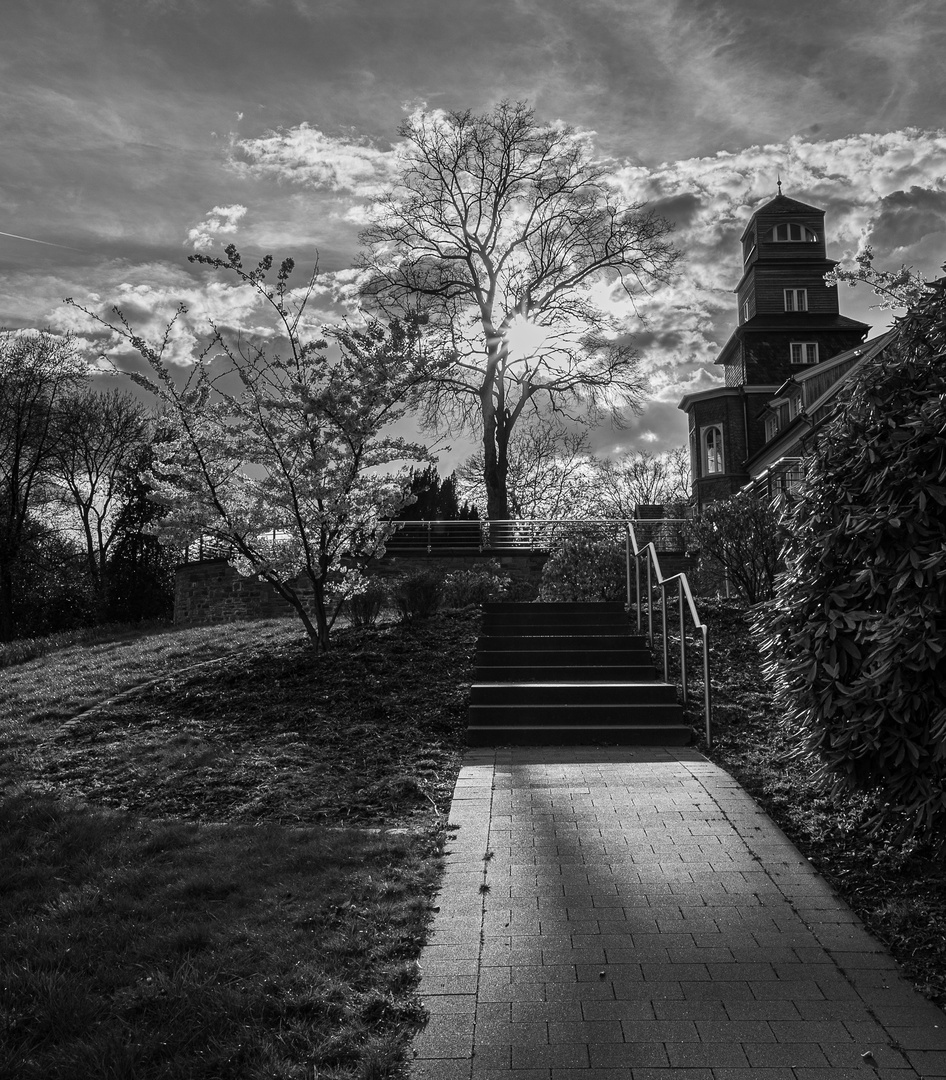 Park im Abendlicht