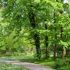 Park im Antoniushaus Hochheim