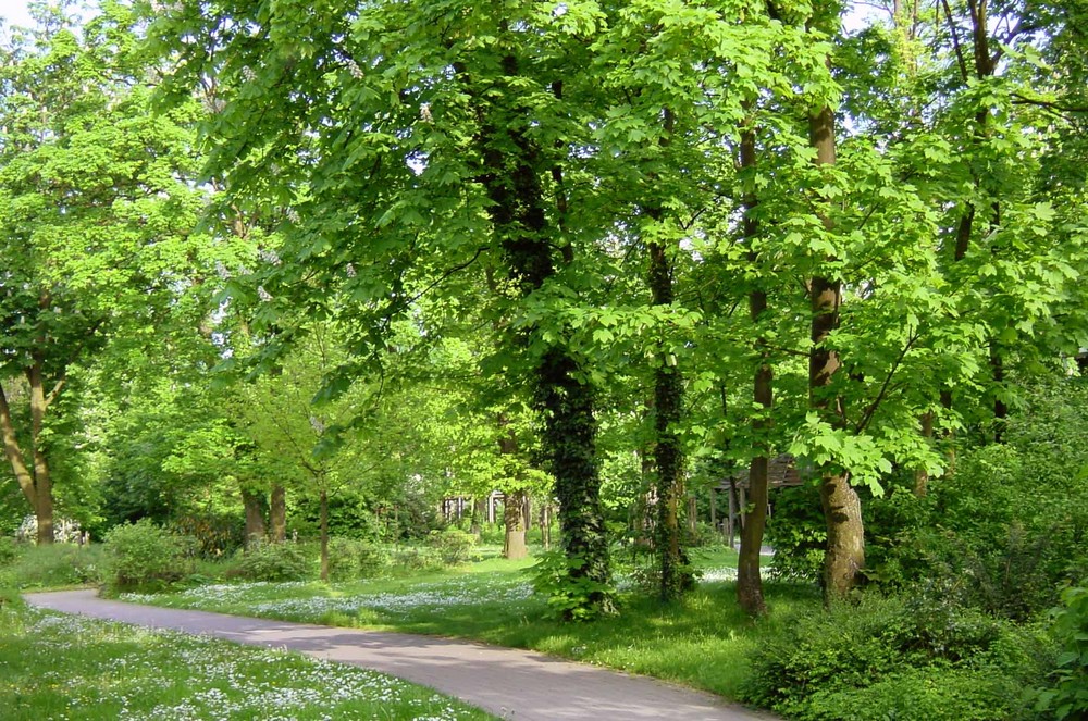 Park im Antoniushaus Hochheim