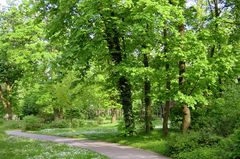 Park im Antoniushaus Hochheim