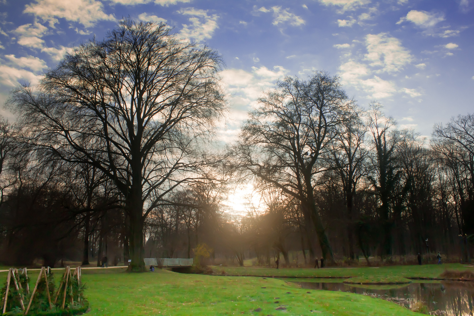 Park im Frühjahr