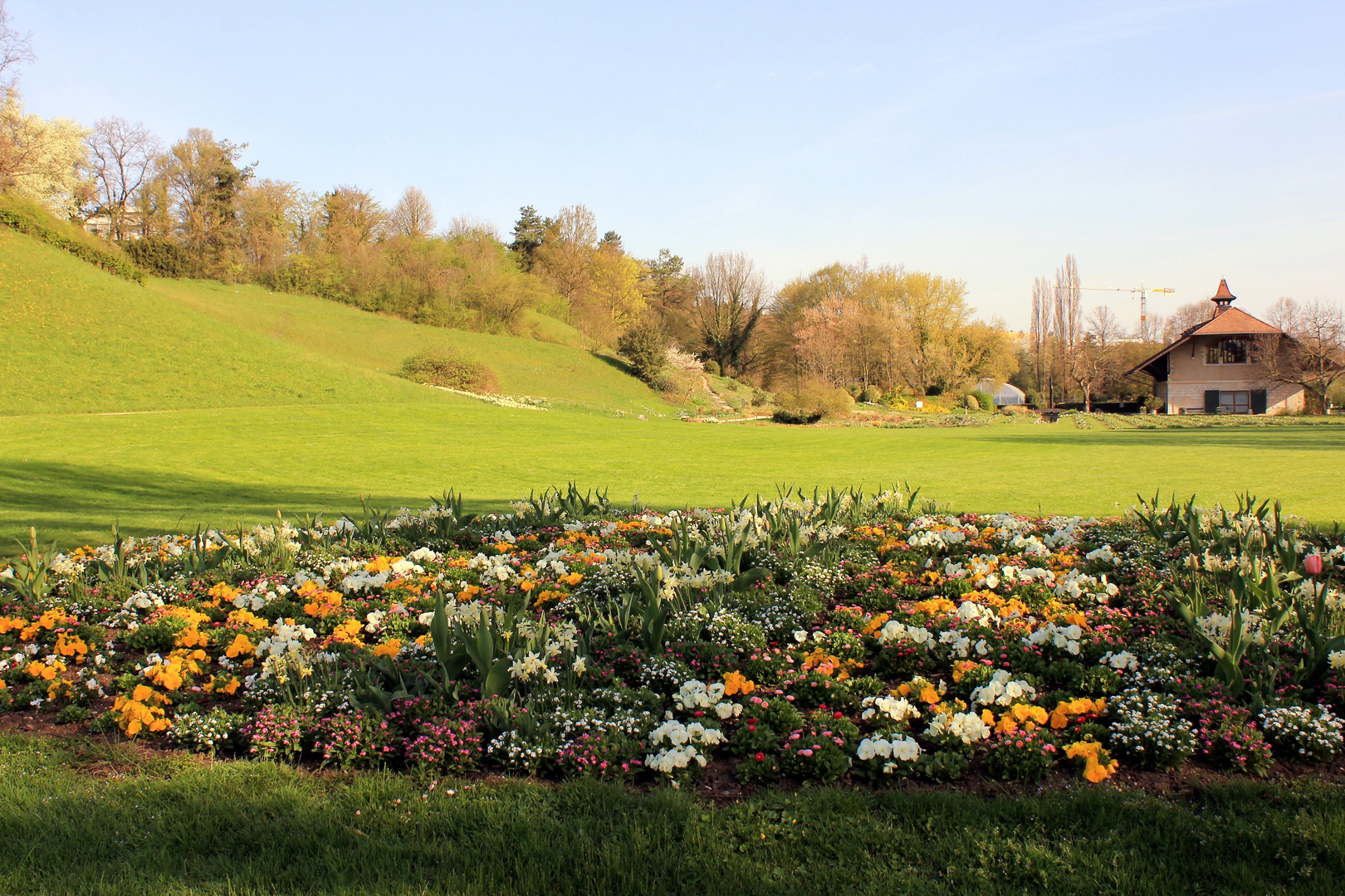 Park im Frühling