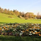 Park im Frühling