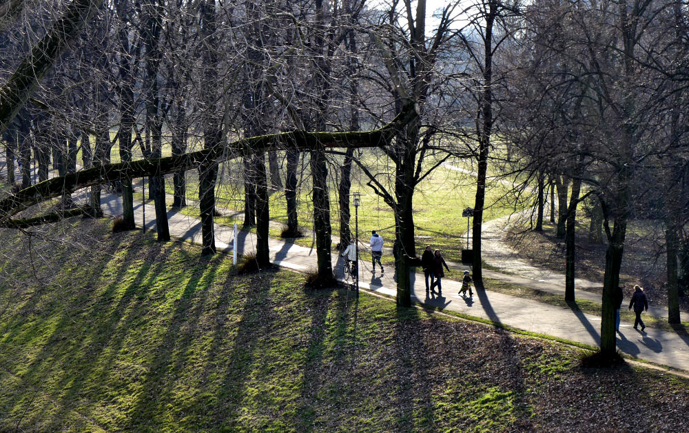 Park im Gegenlicht