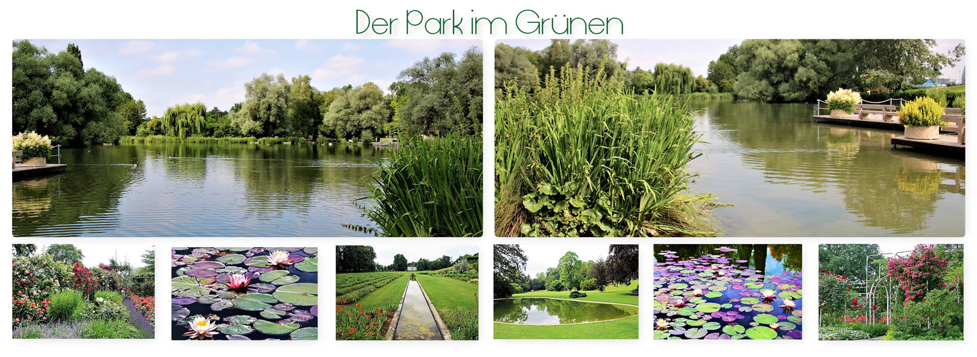 Park im Grünen