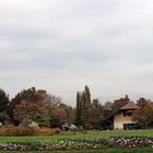 Park im Grünen