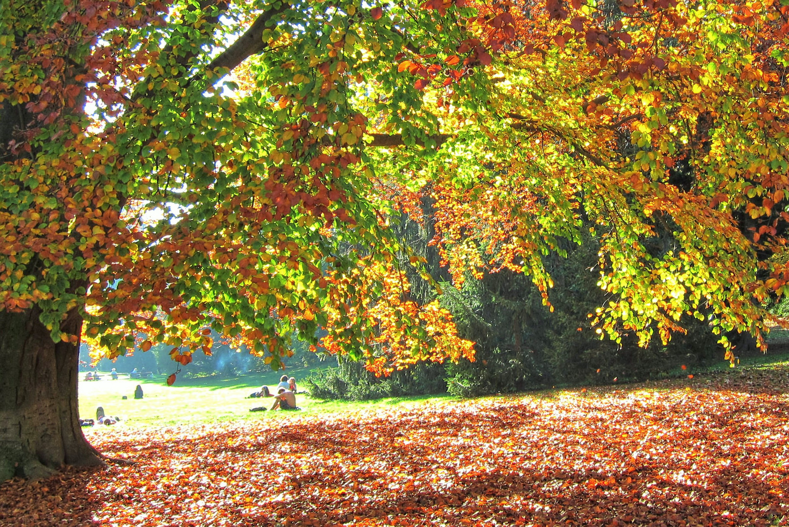 park im herbst