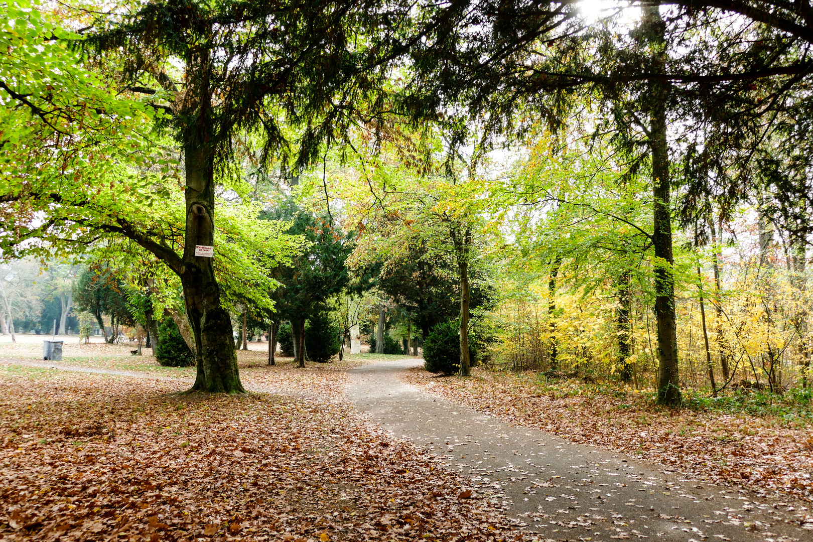 Park im Herbst