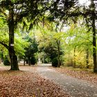 Park im Herbst