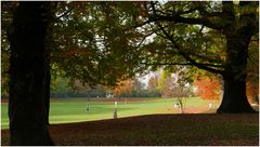 Park im Herbst