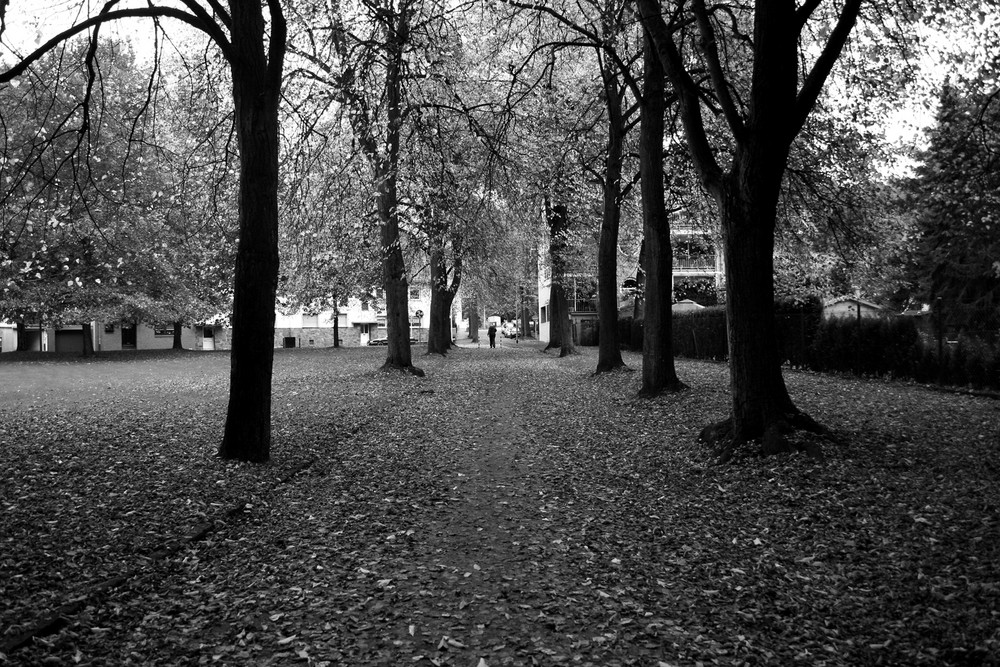 Park im Herbst