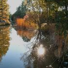 Park im Herbst