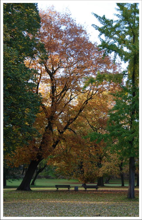 Park im Herbst