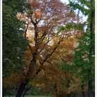 Park im Herbst