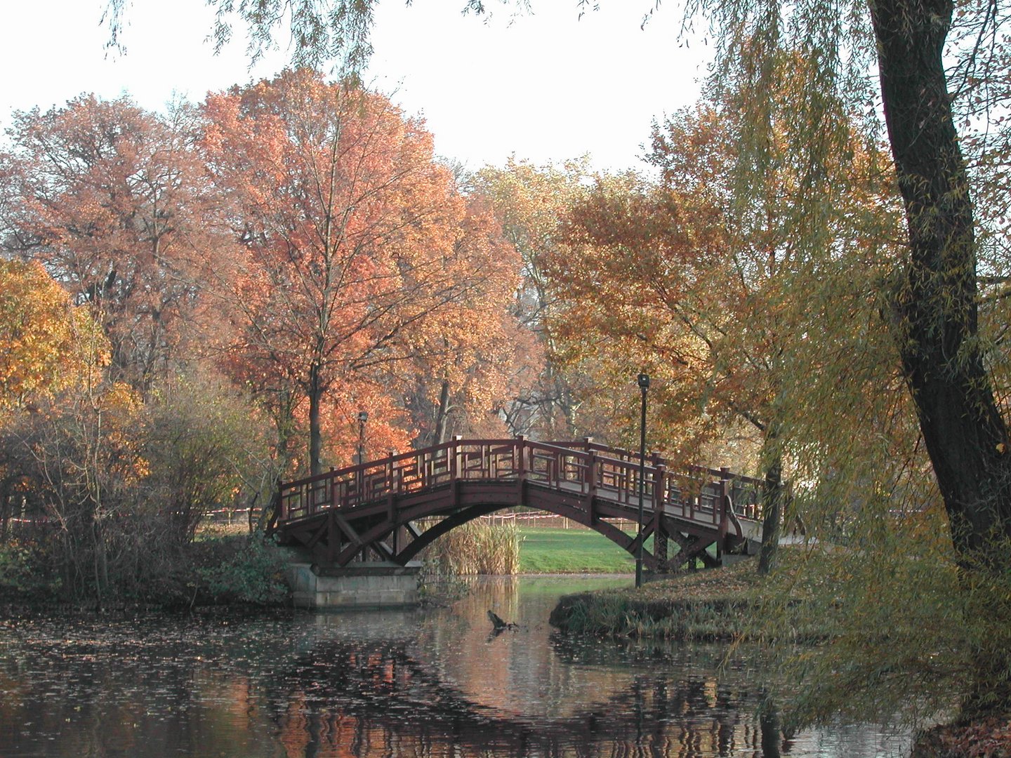 Park im Herbst