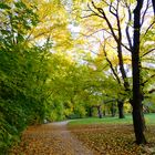 Park im Herbst