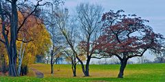 Park im Herbstkleid