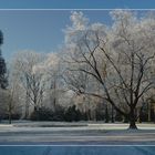 Park im Industrie-Schnee (2)