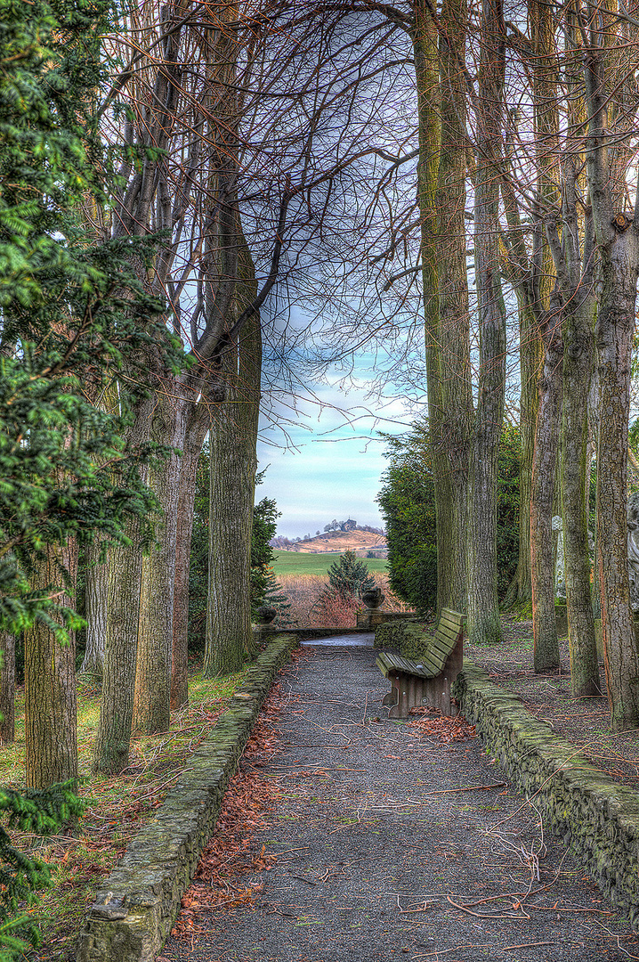 Park im Januar an der Roseburg bei Aschersleben