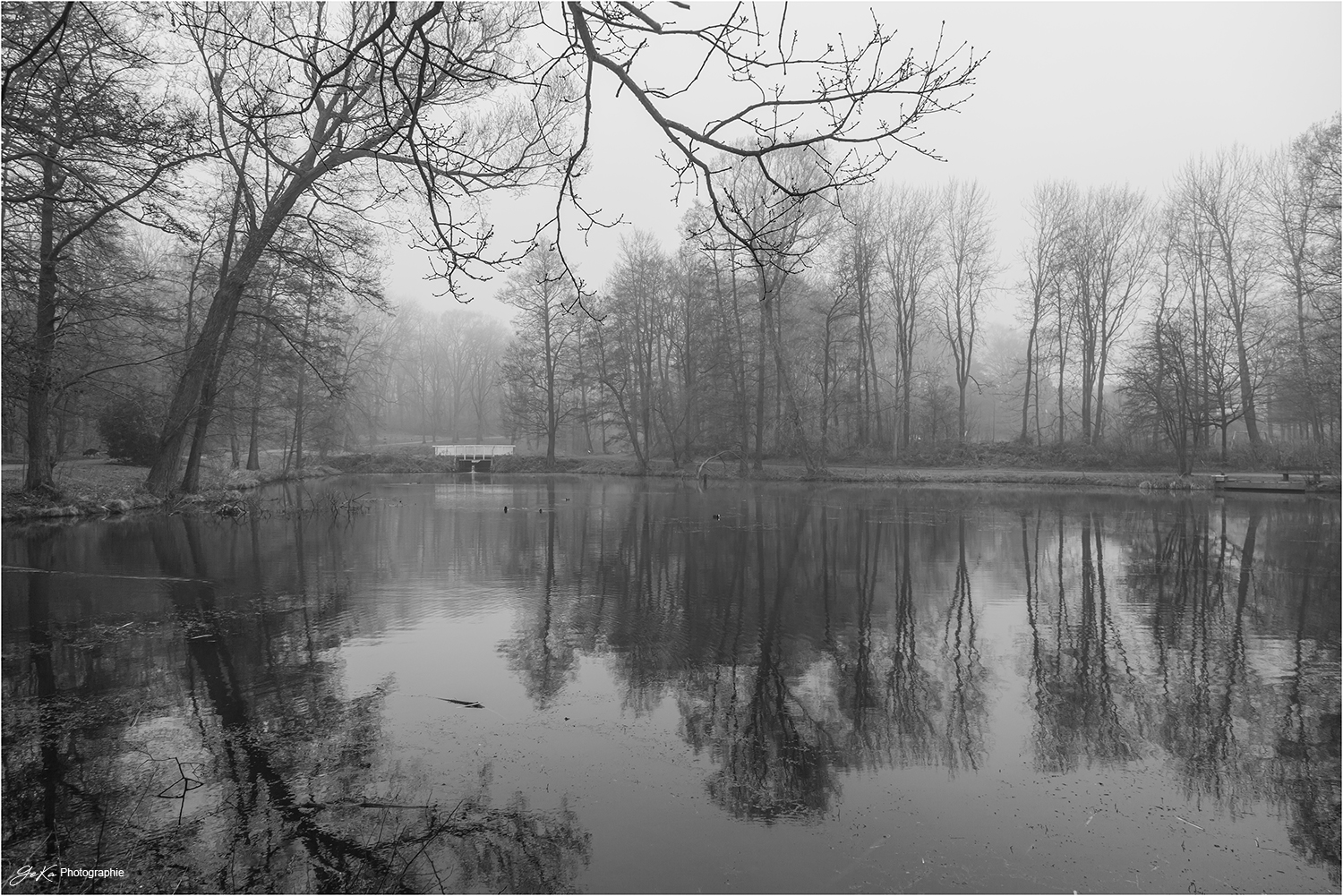 Park im Nebel