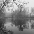 Park im Nebel