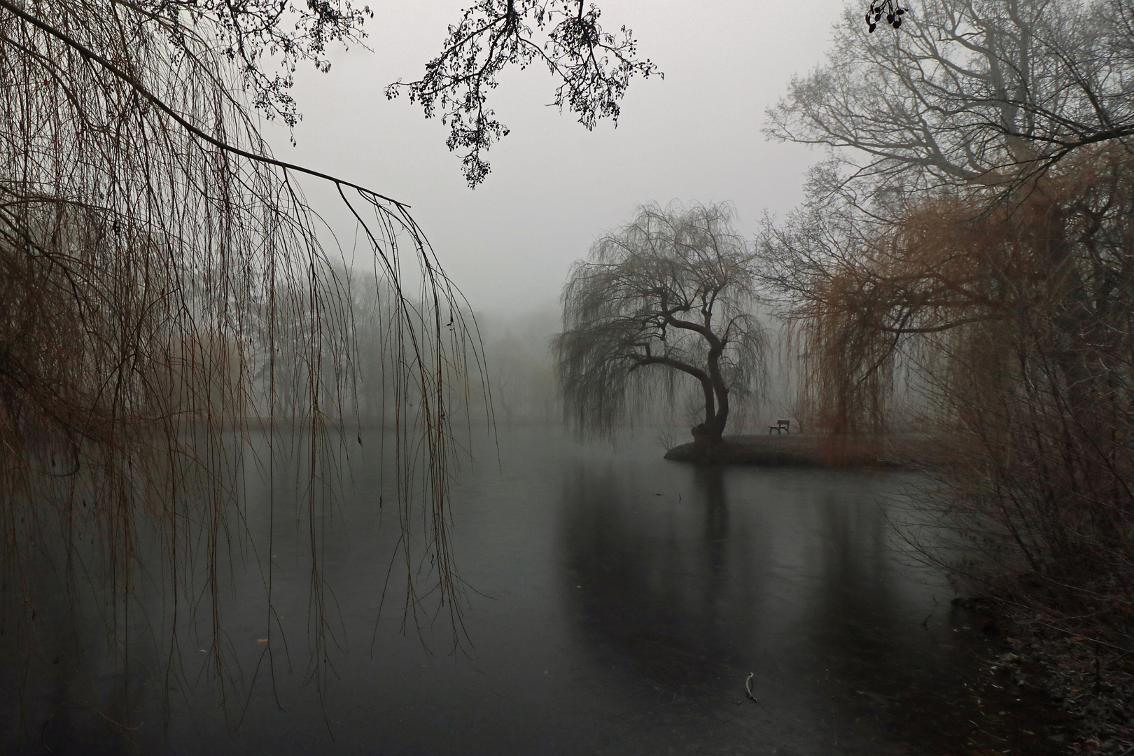 Park im Nebel