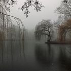 Park im Nebel