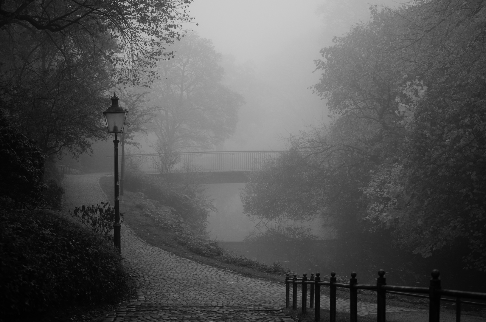 Park im Nebel