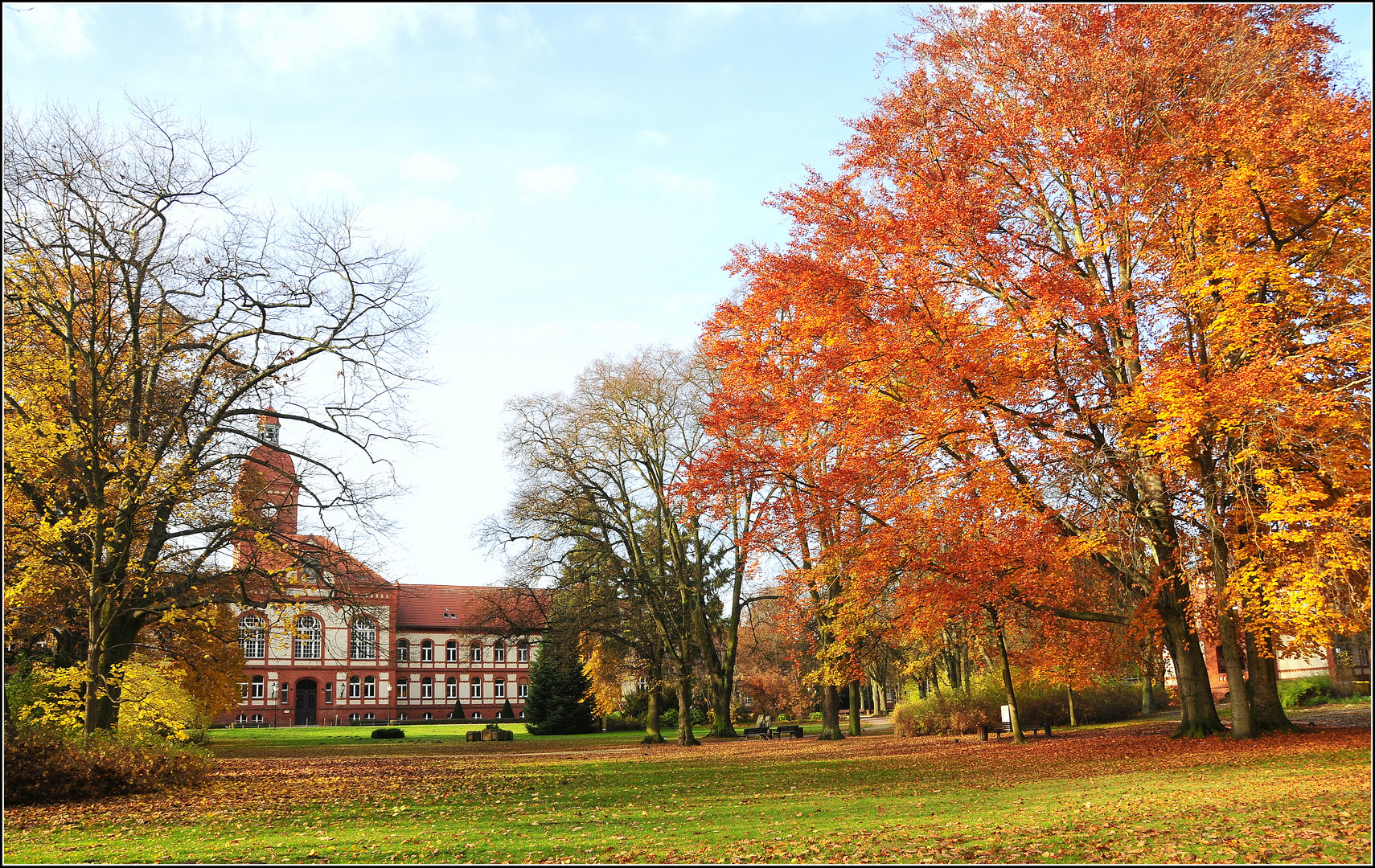 Park im November