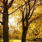 Park im Oktober