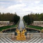 Park im Peterhof