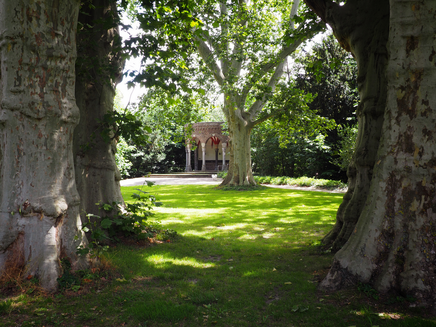 Park im Schloss Paffendorf