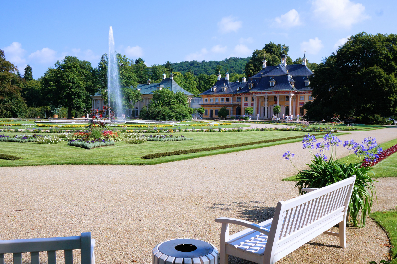 Park im Schloß Pillnitz