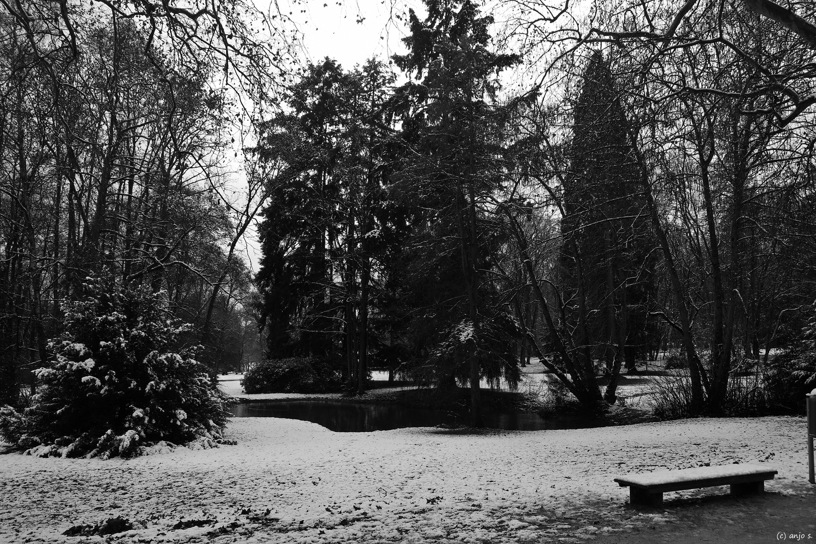 Park im Schnee