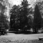 Park im Schnee