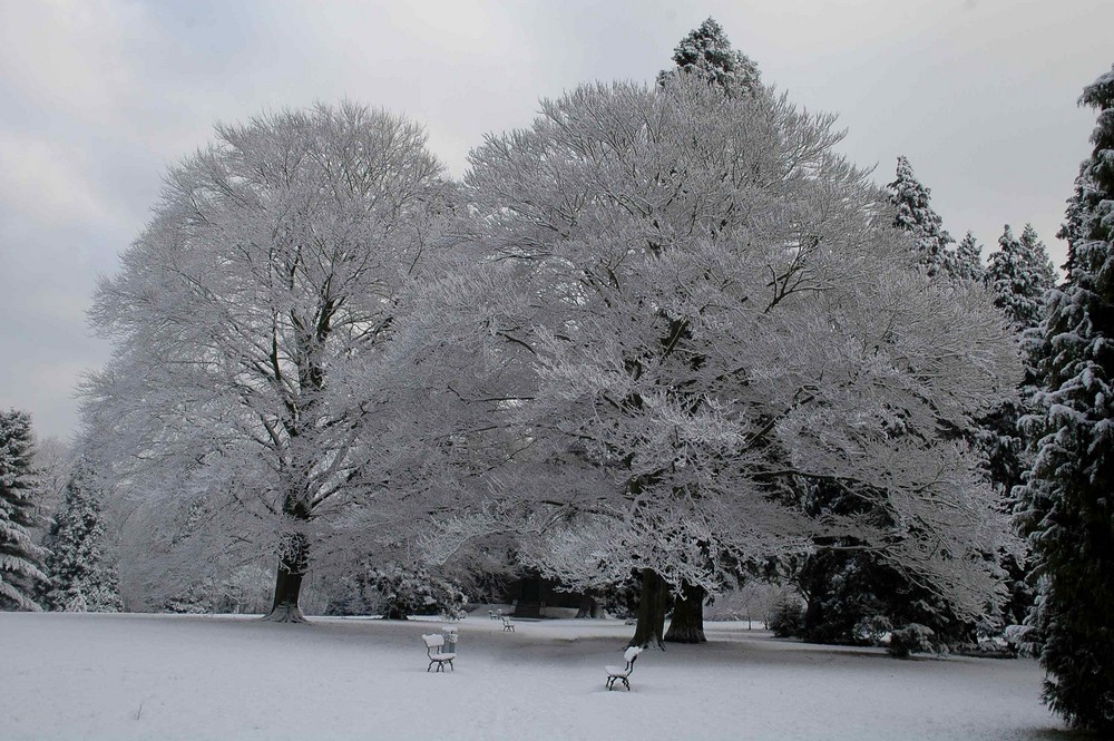 Park im Schnee