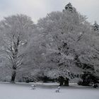 Park im Schnee