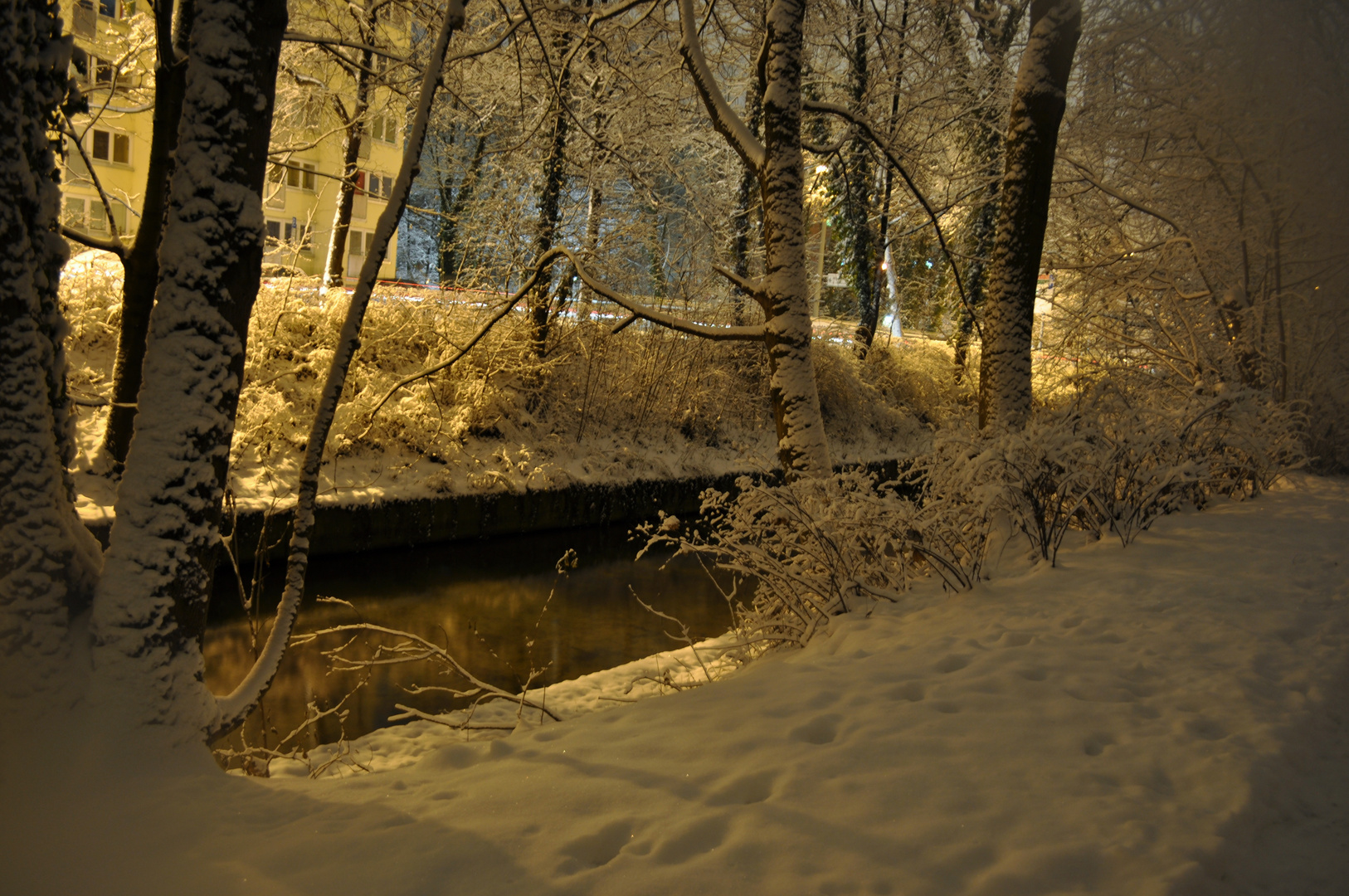 Park im Schnee