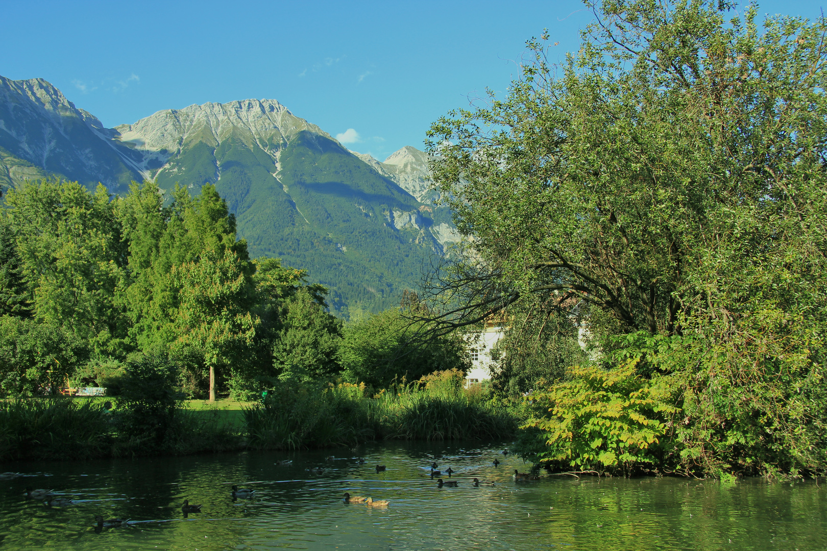 Park im Sommer