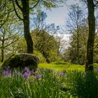 Park im Süden Irlands