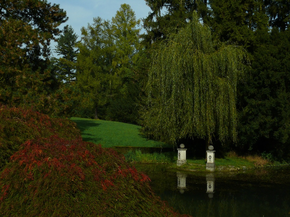 Park im Wenkenhof