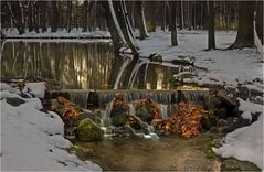 Park im Winter