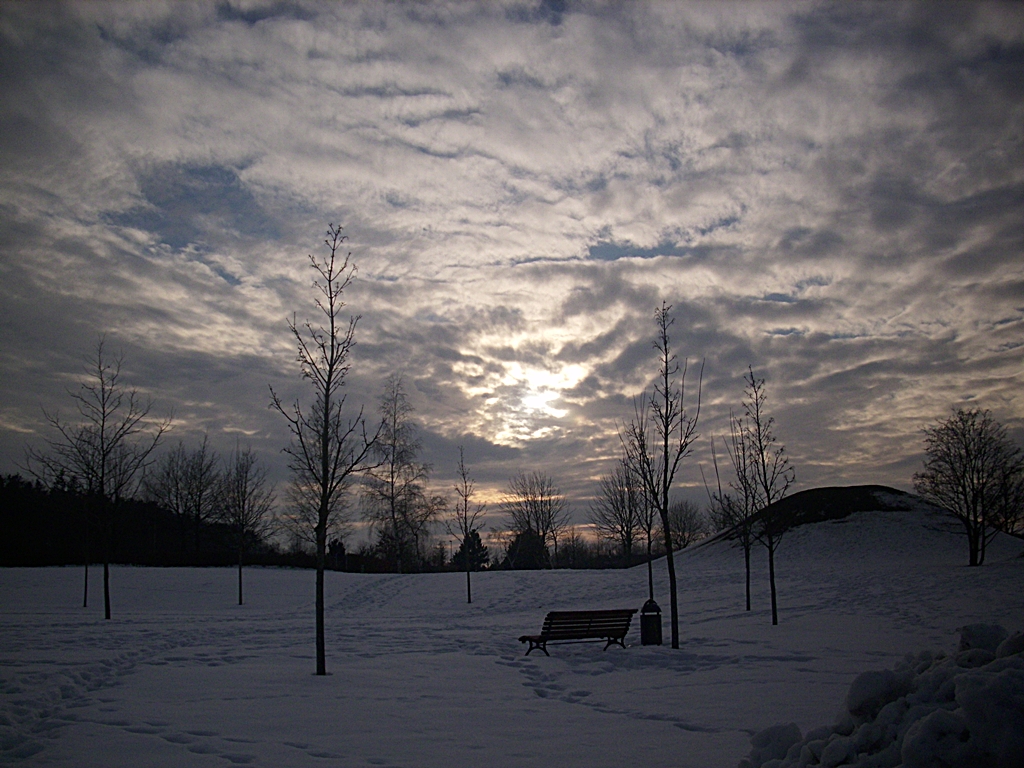 park im winter